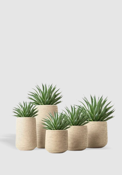 VERDANT POTS