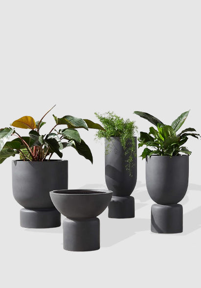 TUAN POTS